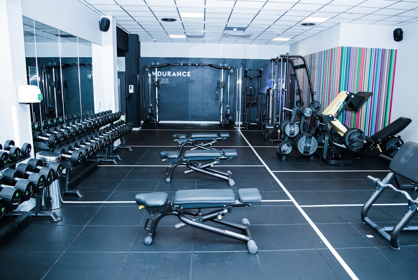 Gym layout 2 Gym layout 2